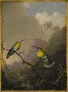 Martin Johnson Heade Two Humming Birds painting